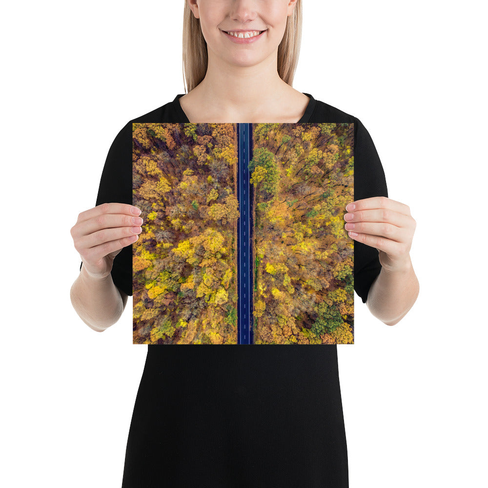 Fall Autumn Road Less Traveled Poster - Multiple Sizes wall art posters home decor office decor art gifts