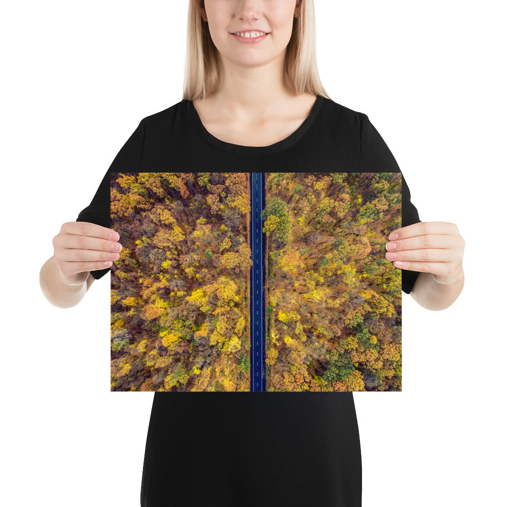 Fall Autumn Road Less Traveled Poster - Multiple Sizes wall art posters home decor office decor art gifts
