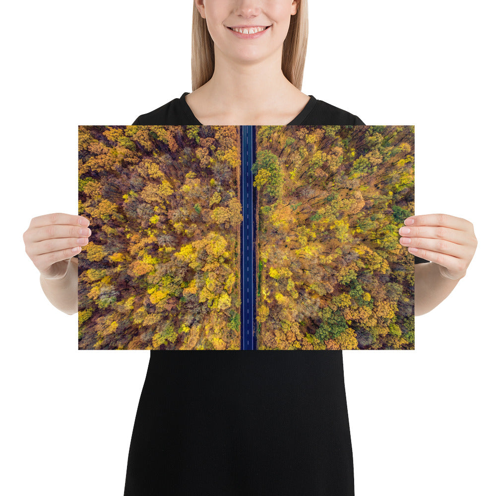 Fall Autumn Road Less Traveled Poster - Multiple Sizes wall art posters home decor office decor art gifts