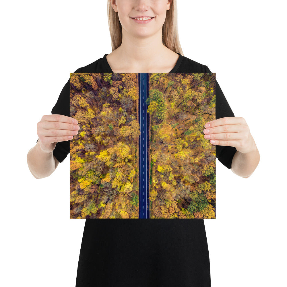 Fall Autumn Road Less Traveled Poster - Multiple Sizes wall art posters home decor office decor art gifts