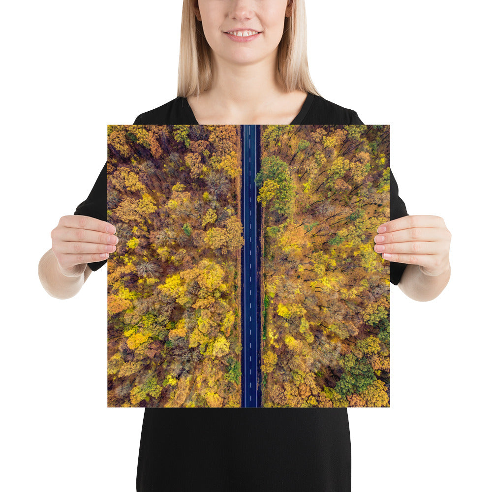 Fall Autumn Road Less Traveled Poster - Multiple Sizes wall art posters home decor office decor art gifts