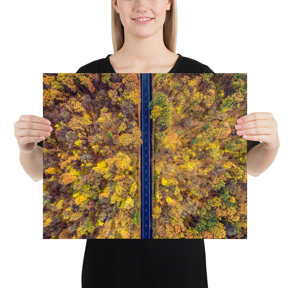 Fall Autumn Road Less Traveled Poster - Multiple Sizes wall art posters home decor office decor art gifts