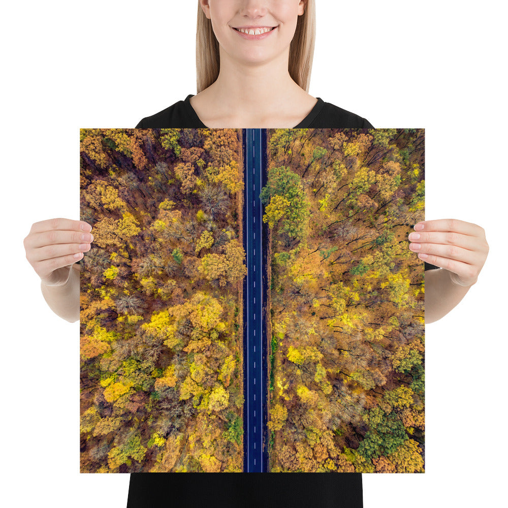 Fall Autumn Road Less Traveled Poster - Multiple Sizes wall art posters home decor office decor art gifts