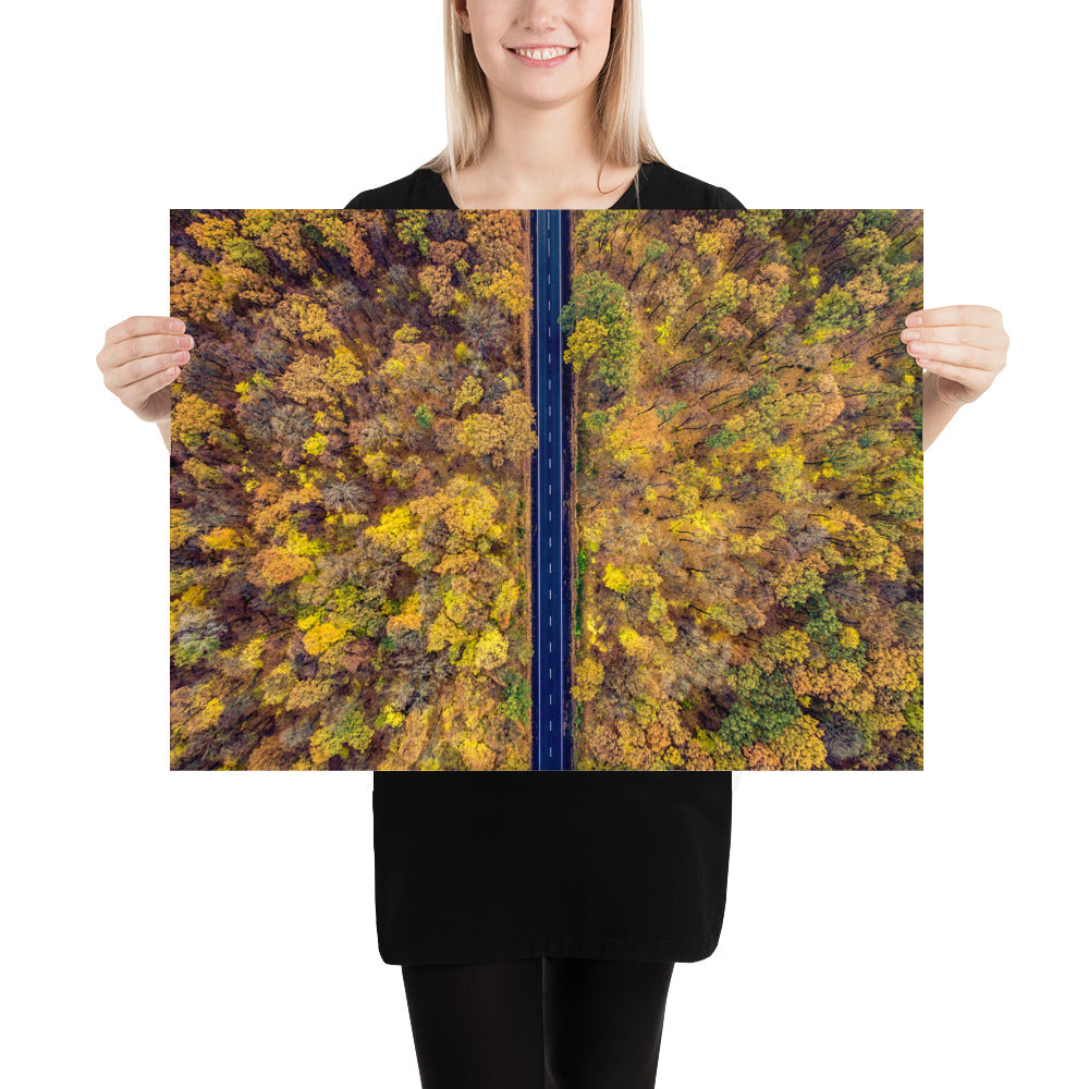 Fall Autumn Road Less Traveled Poster - Multiple Sizes wall art posters home decor office decor art gifts